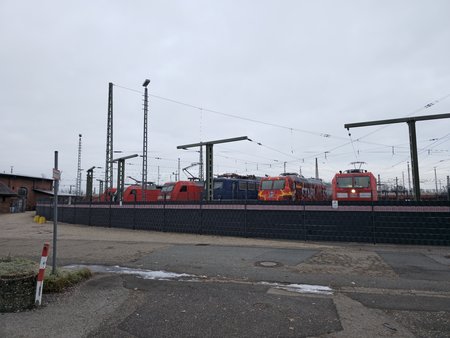 20230206_080133.jpg