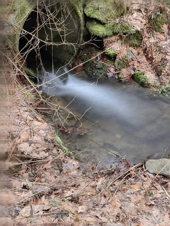 IMG_20230206_081820.jpg