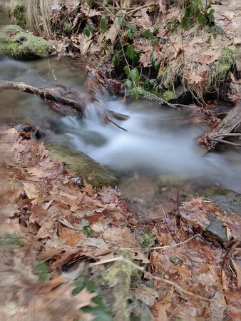 IMG_20230206_081235.jpg