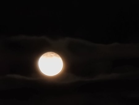 20230206_184501.jpg