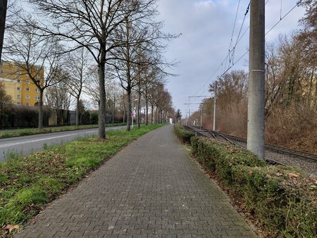 IMG_20221212_144801423.jpg