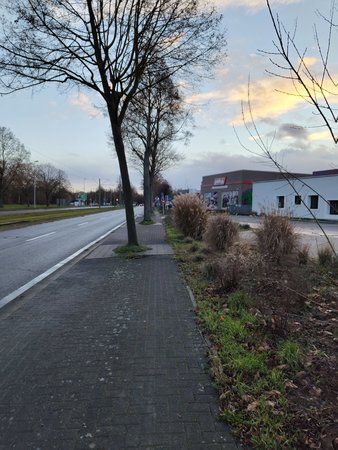 IMG_20230113_162958012.jpg
