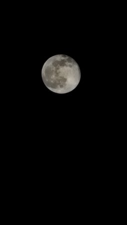 20230206_195227.jpg