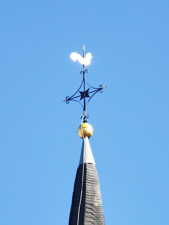 IMG_20230207_120753.jpg