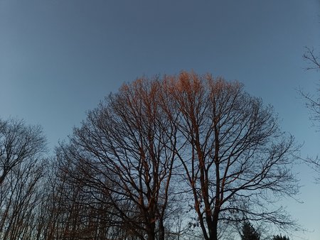 IMG20230208170218.jpg