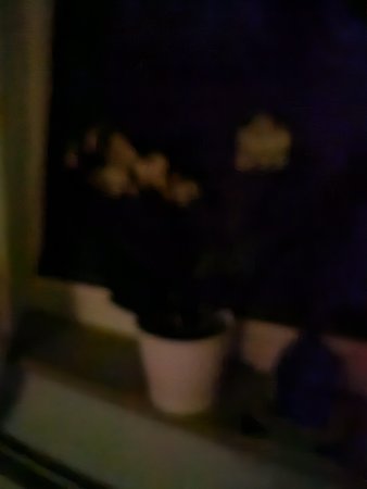 20230208_232847.jpg