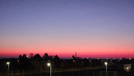 20230209_065520.jpg