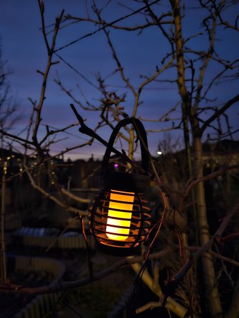 Nacht_20230209_175259.jpg
