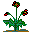 018.gif