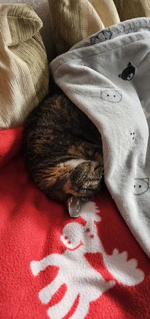 20230206_111949.jpg