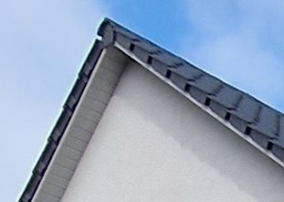 S22 Crop.jpg