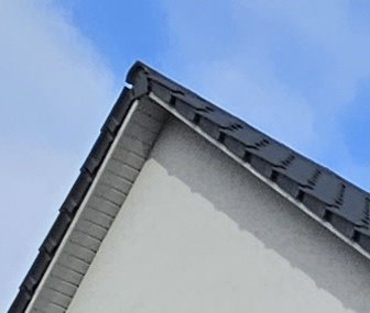 S23 Crop.jpg