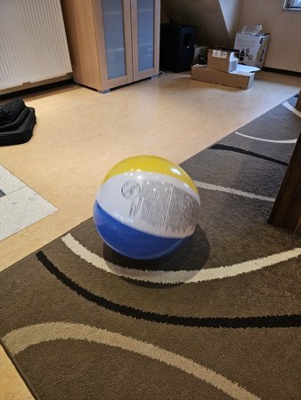 20230212_141318.jpg
