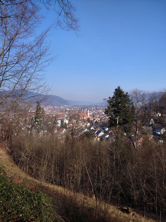 20230210_123921.JPG
