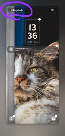 Screenshot_20230213_133628_Wallpaper and style.jpg