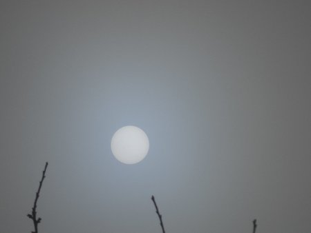 20230214_101414.jpg