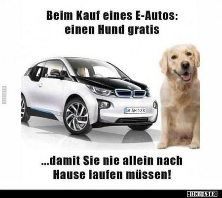 E-Auto1.jpg
