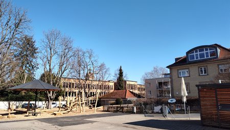 IMG_20230213_115530286.jpg