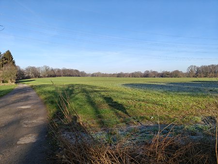 IMG20230215095552.jpg