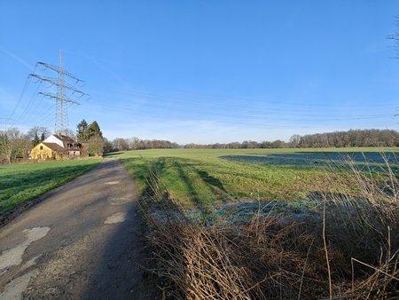 IMG20230215095549.jpg