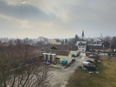 20230215_130834.jpg