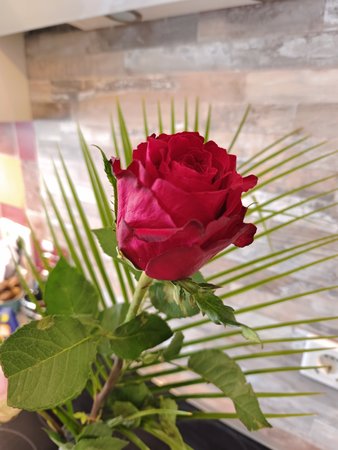 IMG_20230215_152022.jpg