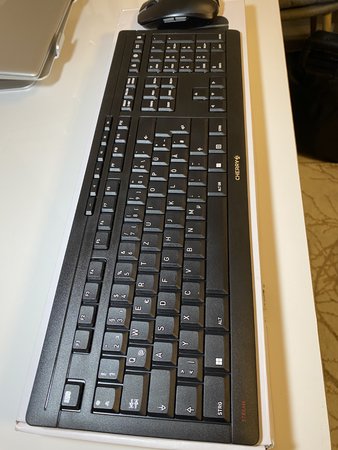 IMG_8901.JPG