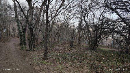 IMG_20230216_163022.jpg