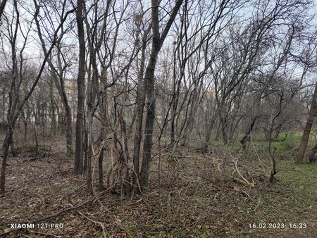 IMG_20230216_163342.jpg