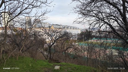 IMG_20230216_163603.jpg