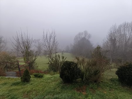 IMG_20230218_083935.jpg