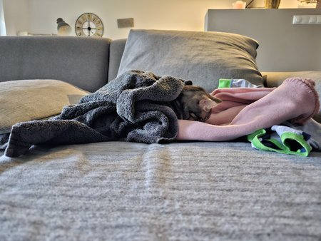 20230220_163031.jpg