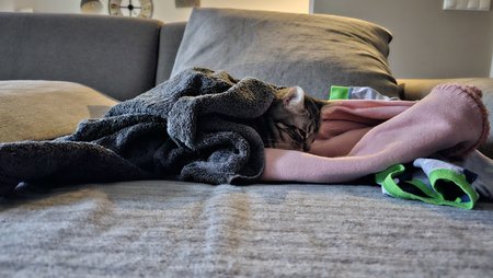 20230220_162938.jpg
