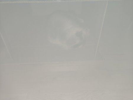 IMG20230220175056.jpg