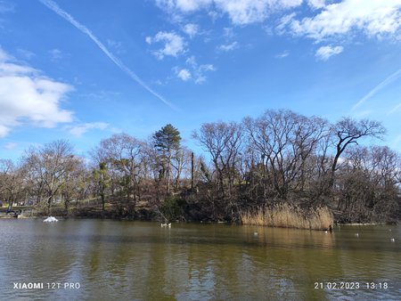 IMG_20230221_131802.jpg