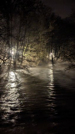 PXL_20230219_193047848.NIGHT.jpg