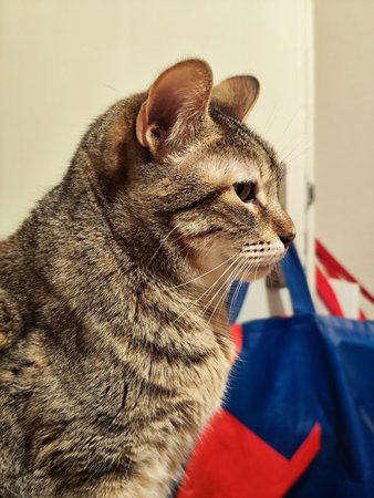 IMG_20230222_180959.jpg