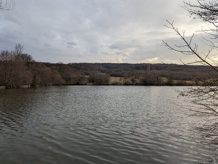 PXL_20230224_153529824.jpg