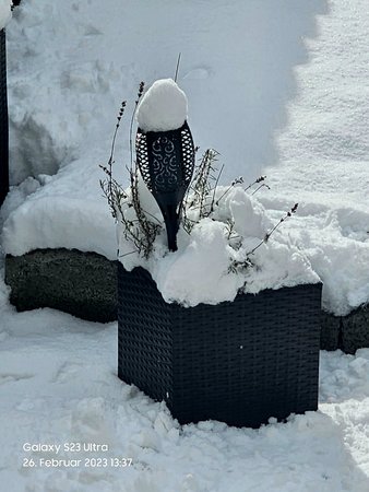 20230226_133701 (003).jpg
