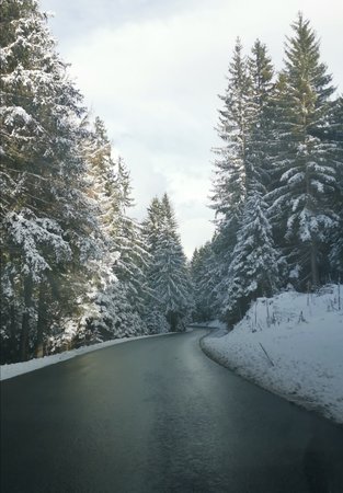 62728.Photos.jpg