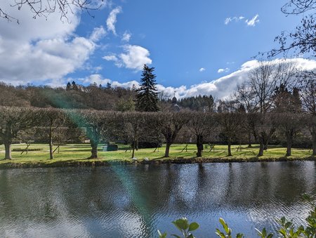 PXL_20230226_121353494.jpg