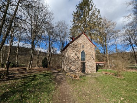 PXL_20230226_122458149.jpg