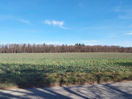 20230220_123354.jpg 20230220_123354.jpg