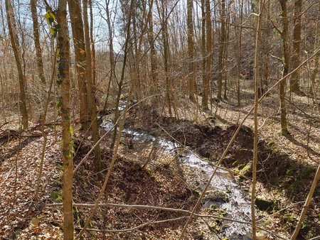 20230220_130214.jpg 20230220_130214.jpg