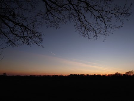 20230301_180556.JPG