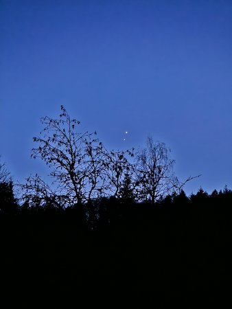 20230302_184723.jpg