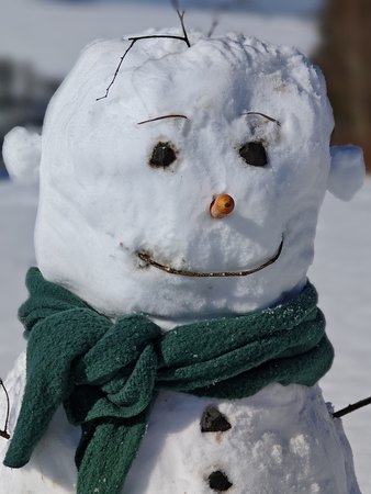 IMG_20230302_115042.jpg