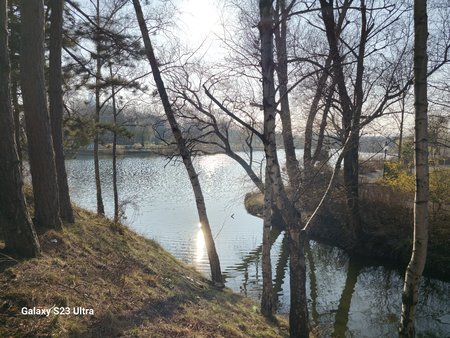 20230303_152031.jpg