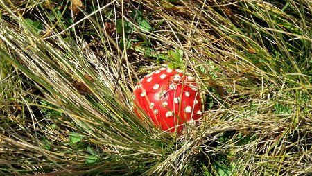 20121014_103625.jpg