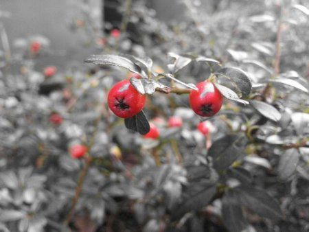 rps20121018_163526beere2.jpg
